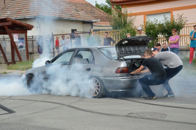 Falunap 2015